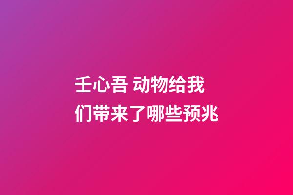 壬心吾 动物给我们带来了哪些预兆